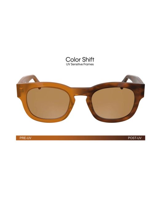 CALVIN KLEIN JEANS CKJ25601S 201