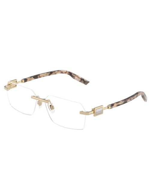 DOLCE&GABBANA DG1361 488