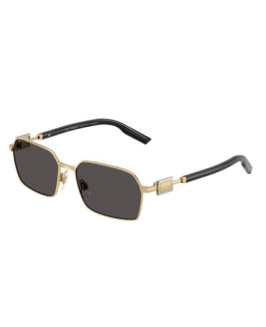 DOLCE&GABBANA DG2316 02/87