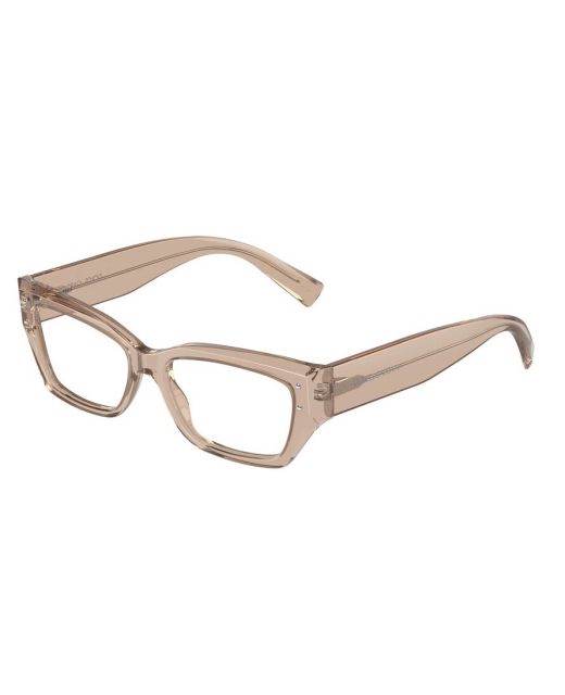 DOLCE&GABBANA DG3387 3432