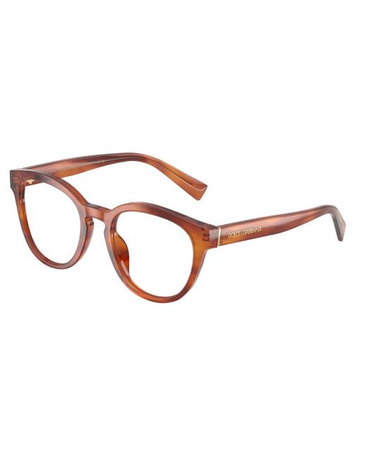 DOLCE&GABBANA DG3421 3221