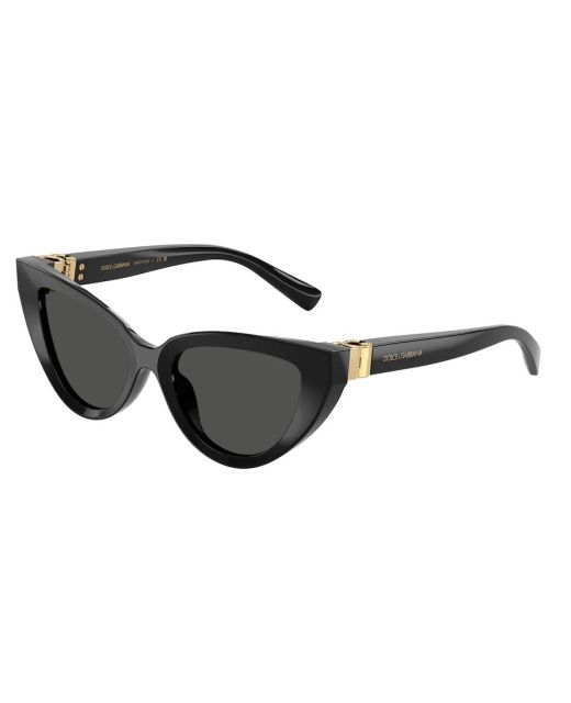 DOLCE&GABBANA DG4497 501/87