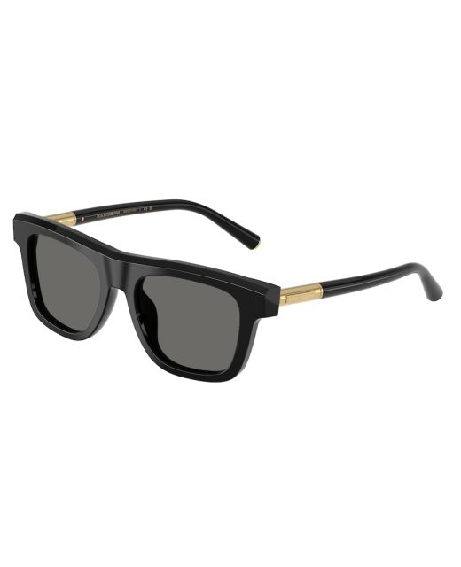 DOLCE&GABBANA DG4521 501/1