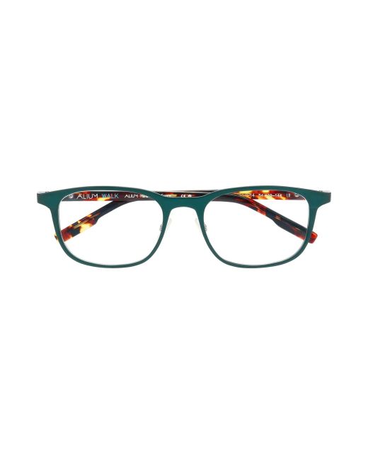 FACE A FACE ALIUM WALK 2 9714