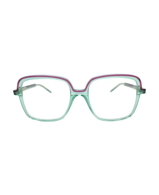 FRANÇOIS PINTON FPALLURE05 GV
