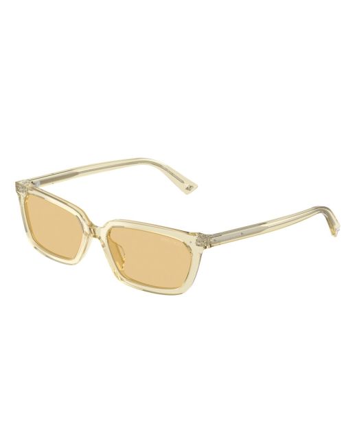 JIMMY CHOO JC5050U 5083/8