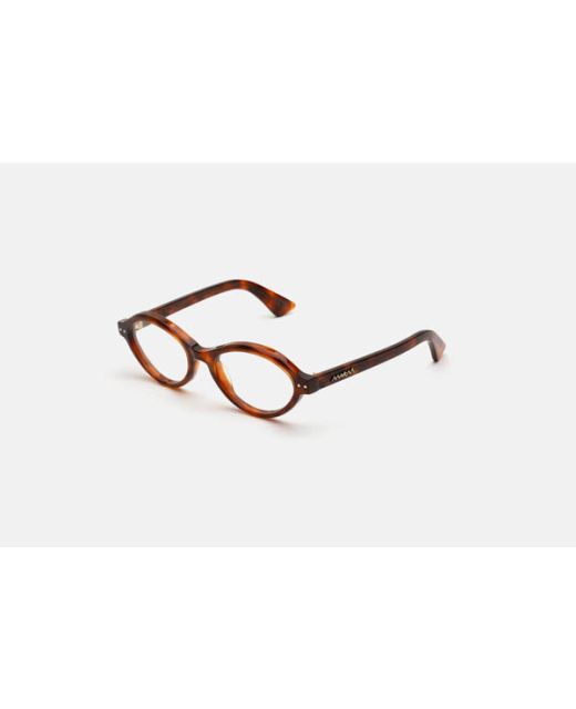 MARNI Janrel Tortoise MAQ