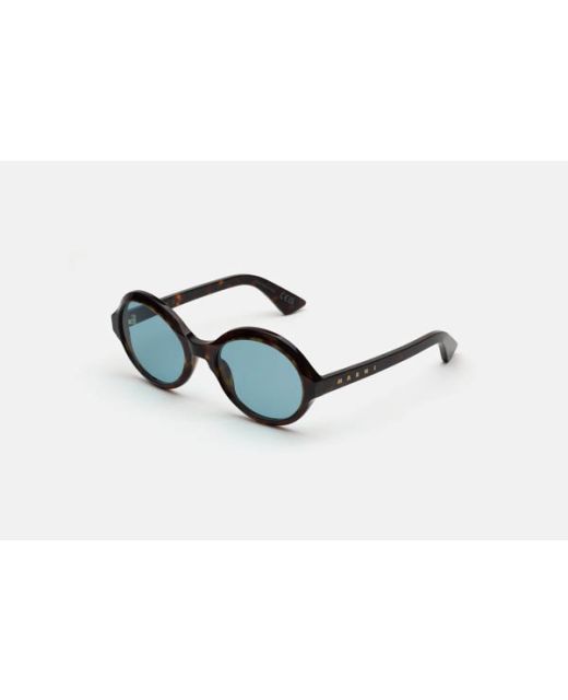 MARNI Nozea Dark Havana Z6Z