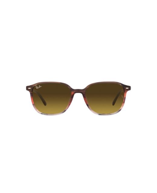 RAY-BAN LEONARD RB2193 138085