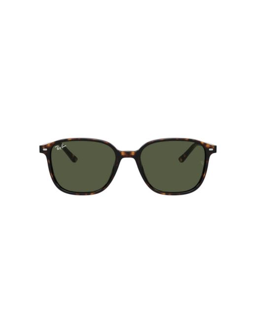 RAY-BAN LEONARD RB2193 902/31