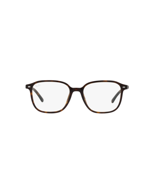 RAY-BAN LEONARD RB2193 902/GH