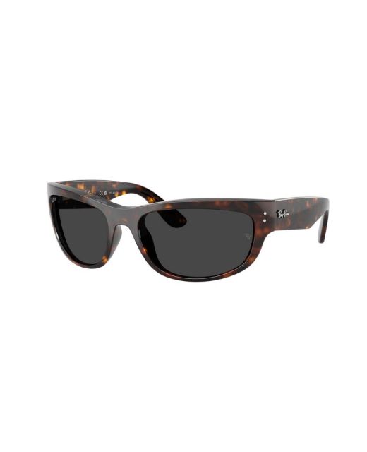 RAY-BAN MEGA BALORAMA RB2289 902/48