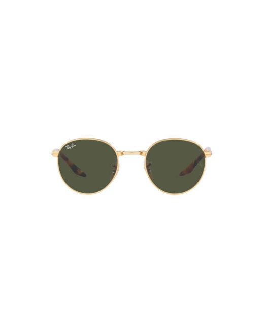 RAY-BAN RB3691 001/31