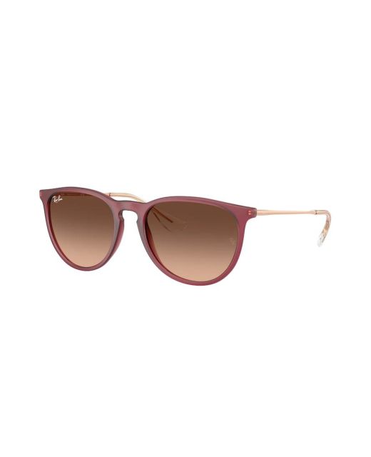 RAY-BAN ERIKA RB4171 6815A5