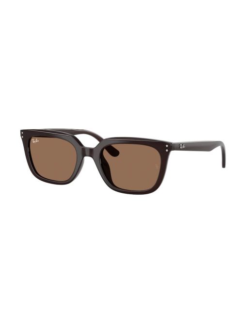 RAY-BAN RB4439D 623173