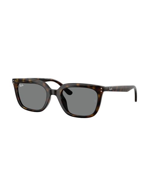 RAY-BAN RB4439D 710/87