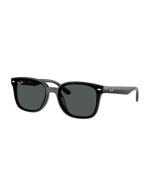 RAY-BAN RB4461D 601/87