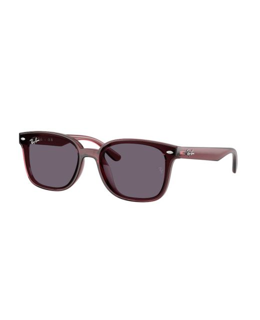 RAY-BAN RB4461D 659373