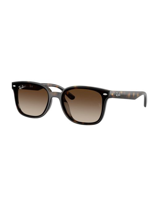RAY-BAN RB4461D 710/13