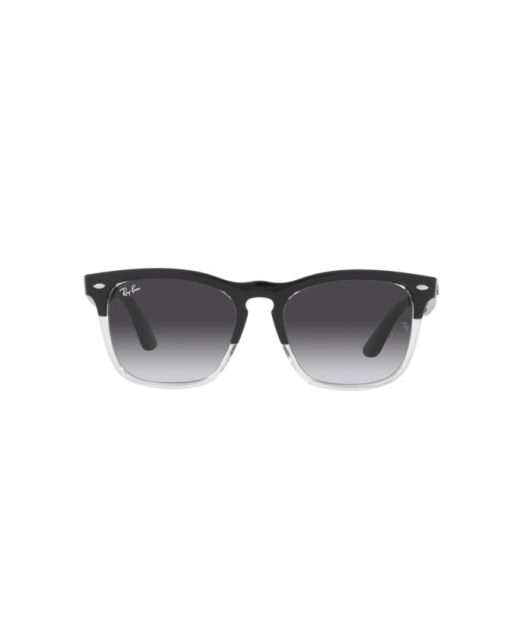 RAY-BAN STEVE RB4487 66308G