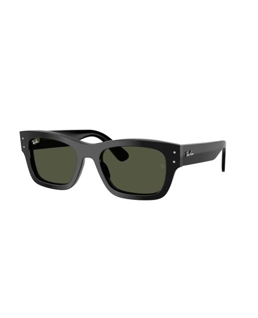 RAY-BAN JOSEPH RB7683S 901/31