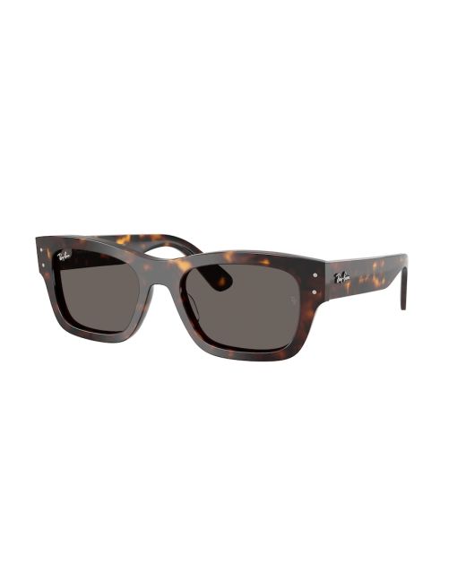RAY-BAN JOSEPH RB7683S 902/B1