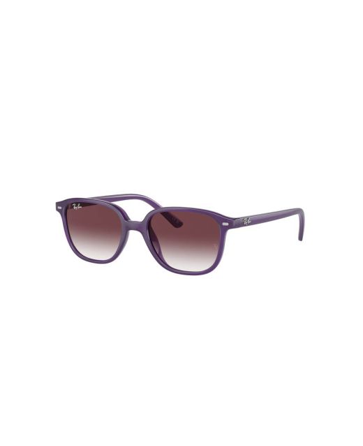 RAY-BAN JUNIOR LEONARD RJ9093S 713136