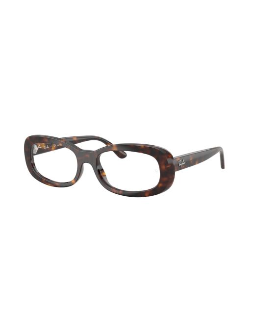 RAY-BAN RX2221V 2012