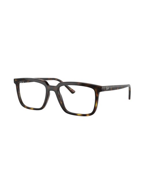 RAY-BAN ALAIN RX7239 2012