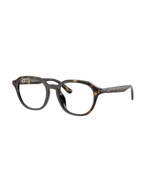RAY-BAN RX7259D 2012