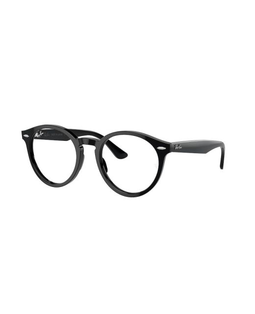 RAY-BAN LARRY RX7680V 2000