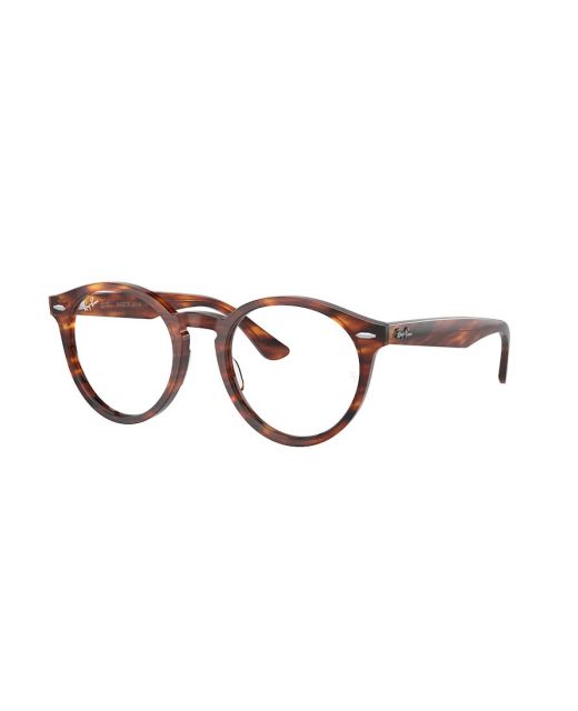 RAY-BAN LARRY RX7680V 2144