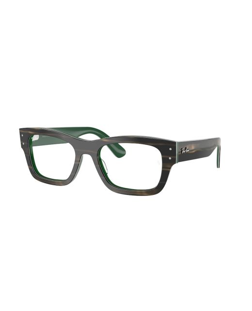 RAY-BAN JOSEPH RX7683V 8392