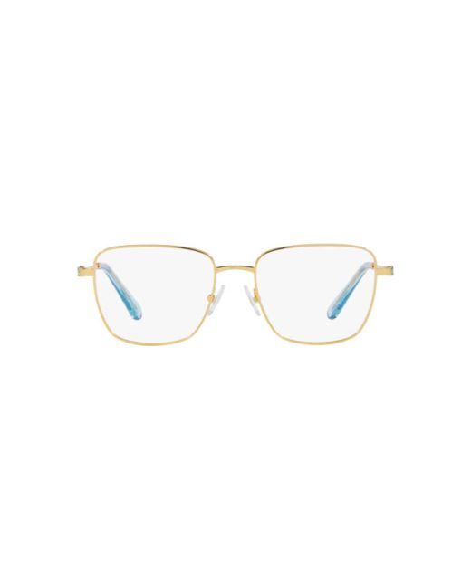 SWAROVSKI SK1003 4021