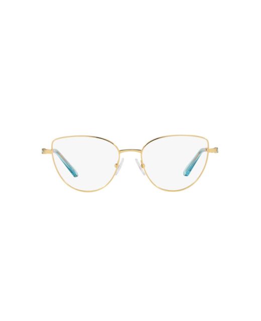 SWAROVSKI SK1007 4021