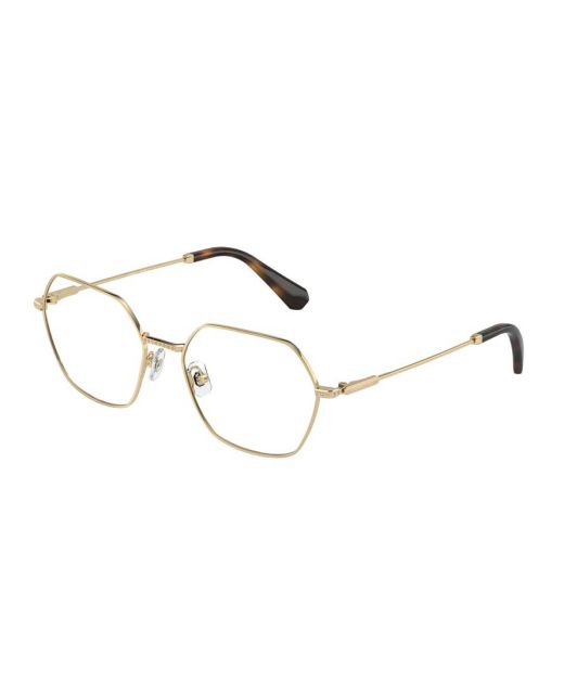 SWAROVSKI SK1011 4013