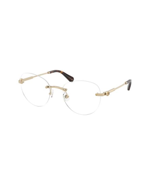 SWAROVSKI SK1021 4013