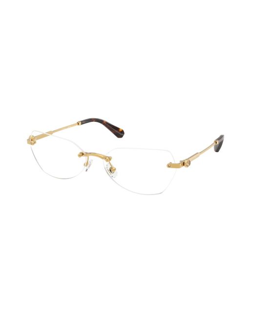 SWAROVSKI SK1031 4007