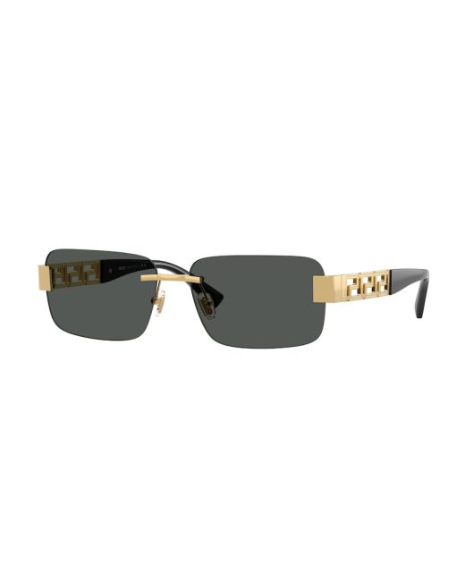 VERSACE VE2298 100287